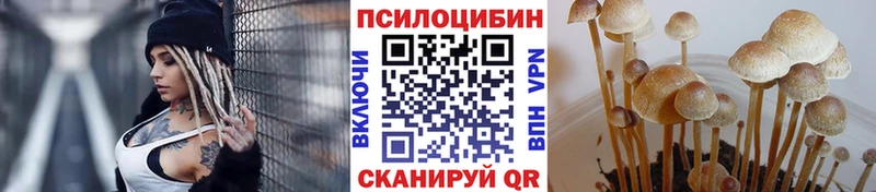 Купить где  Нея  Галлюциногенные грибы мухоморы 